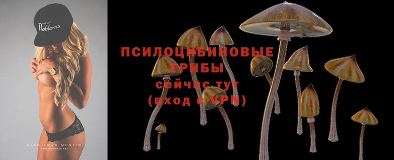 Галлюциногенные грибы Cubensis  Костомукша 